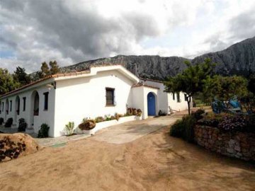 agriturismo in sardinie - Guthiddai in Oliena (6)